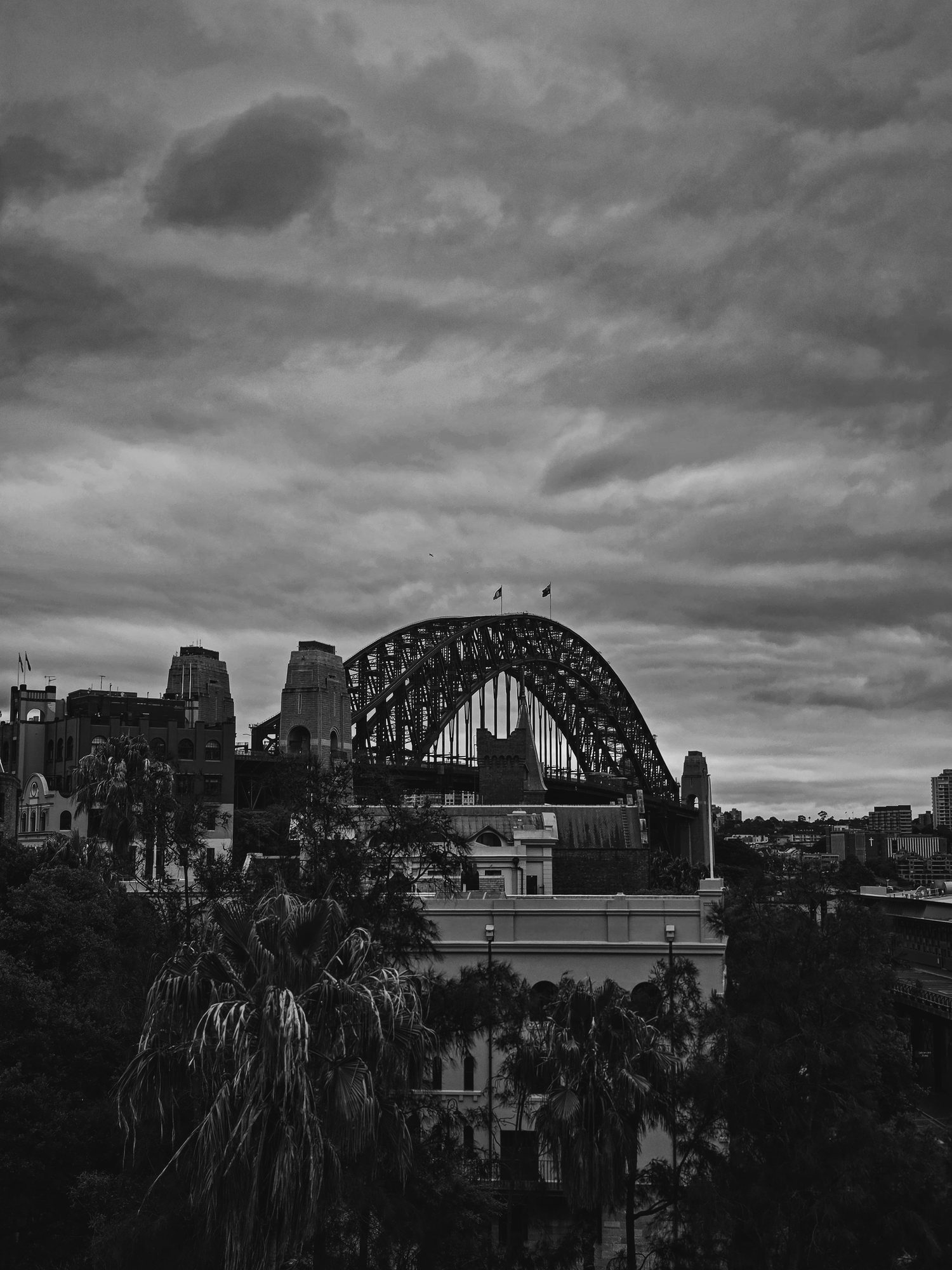 Harbour Bridge under heavy cloud, palms in the foreground.