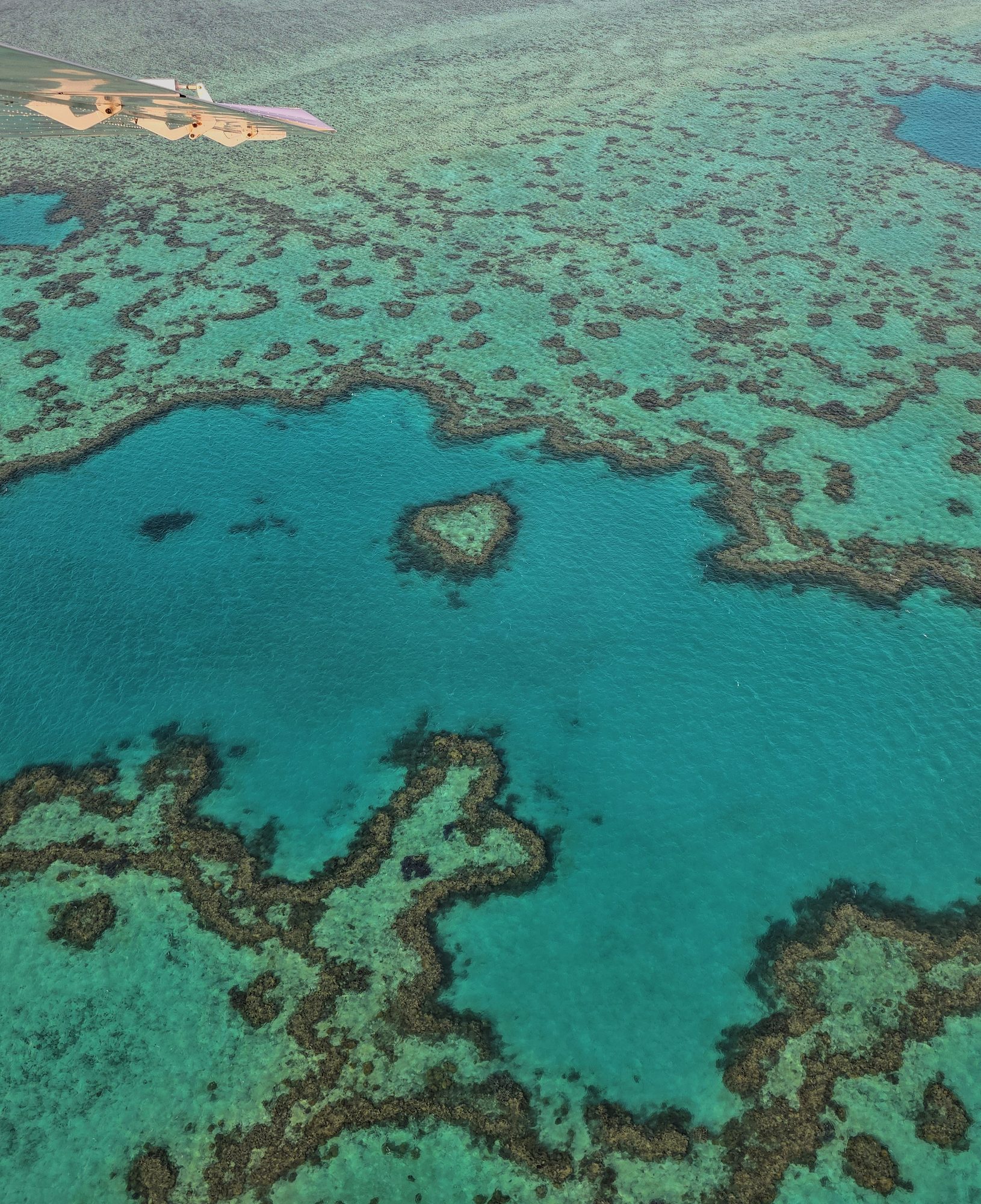 Heart of the reef, from a window seat.